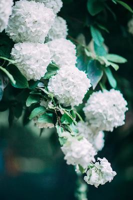 免费观看MV大片高清