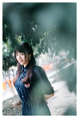 免费观看电视剧全集在线播放高清