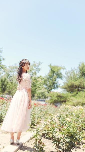 仙台有树电视剧免费观看全集高清完整版