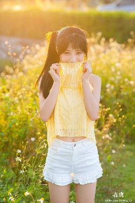 2026正版资料大全免费