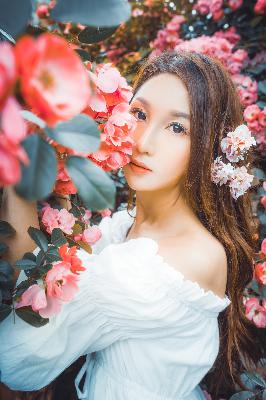 喜羊羊与灰太狼