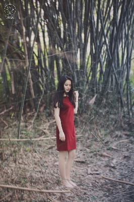 周生如故 电视剧