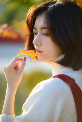 雪中悍刀行2第二部在线播放