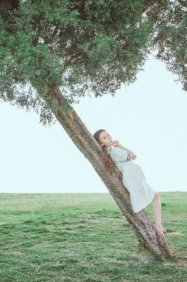 美人心计电视剧免费观看完整版