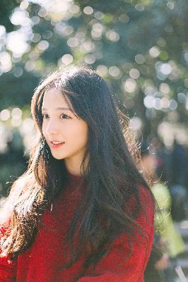 珠帘玉幕电视剧免费观看完整版